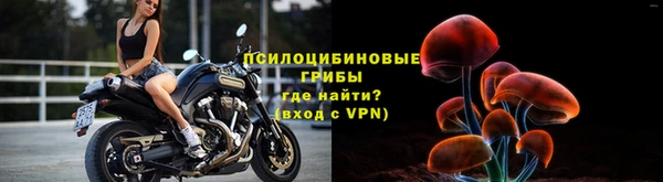 сатива Шадринск